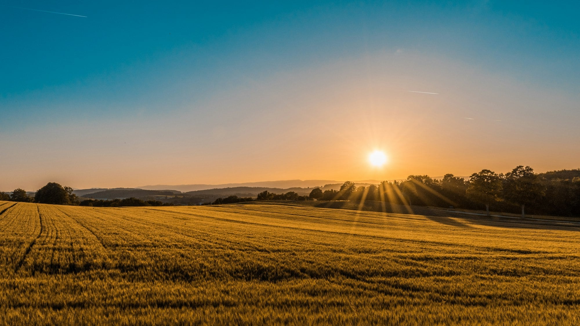 Illustrative stock photograph of open farmland at golden hour — official land/lot imagery pending