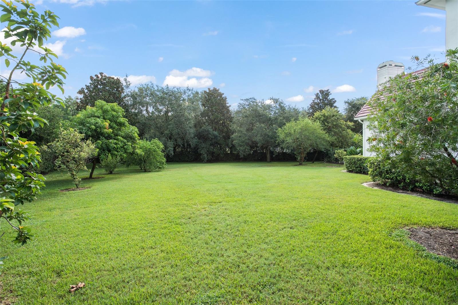 9011 Pinnacle Circle — photo 41